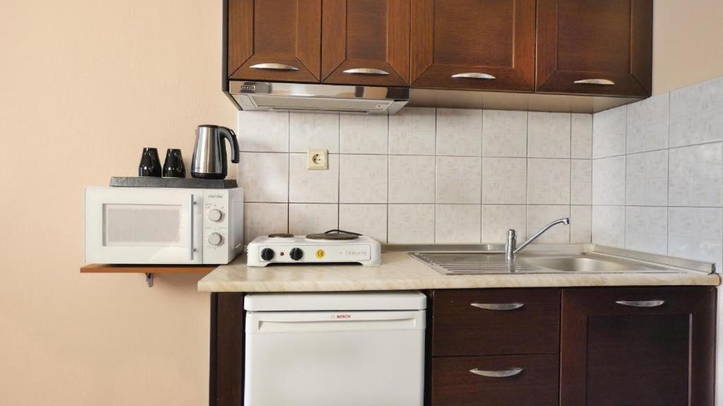 House Chrysoula Mitsokopi Apartment ซาร์ตี ภายนอก รูปภาพ